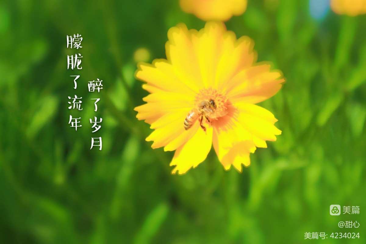 有些东西是消耗殆尽_电器是消耗的装置_宝石玛瑙猎豹是消耗