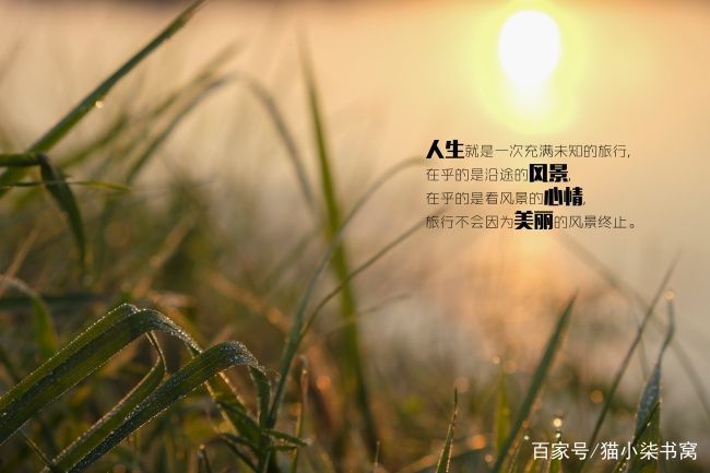 立束合起来怎么读_立束怎么读_立束