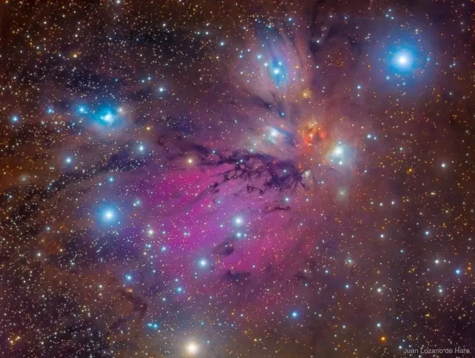 士郎正宗：用画笔描绘宇宙情感与故事的科幻大师