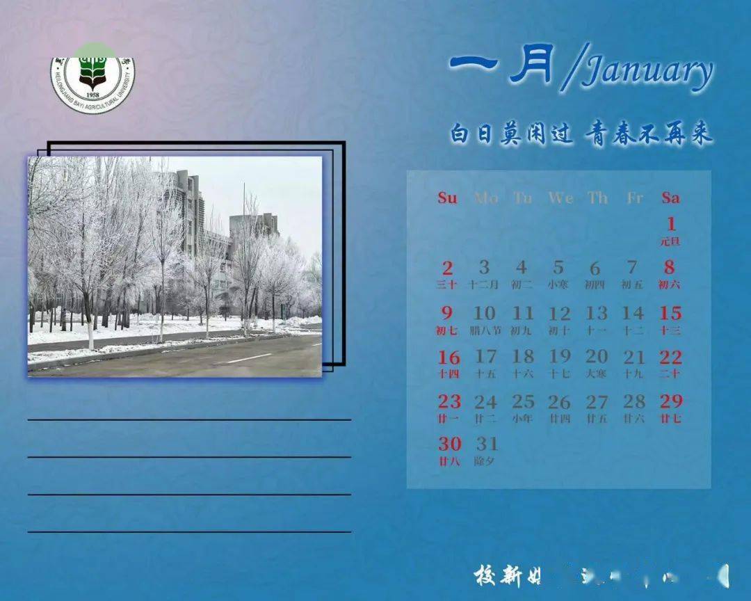 天年四字成语_第几年第几天_天年是什么意思