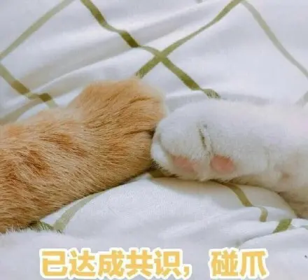 手机联机玩游戏吗-手机联机游戏：与战友并肩作战，体验胜利的热血沸腾