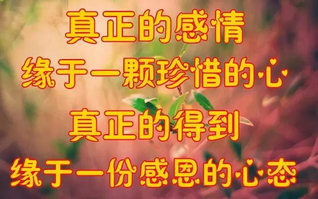 李培楠_李培楠_李培楠