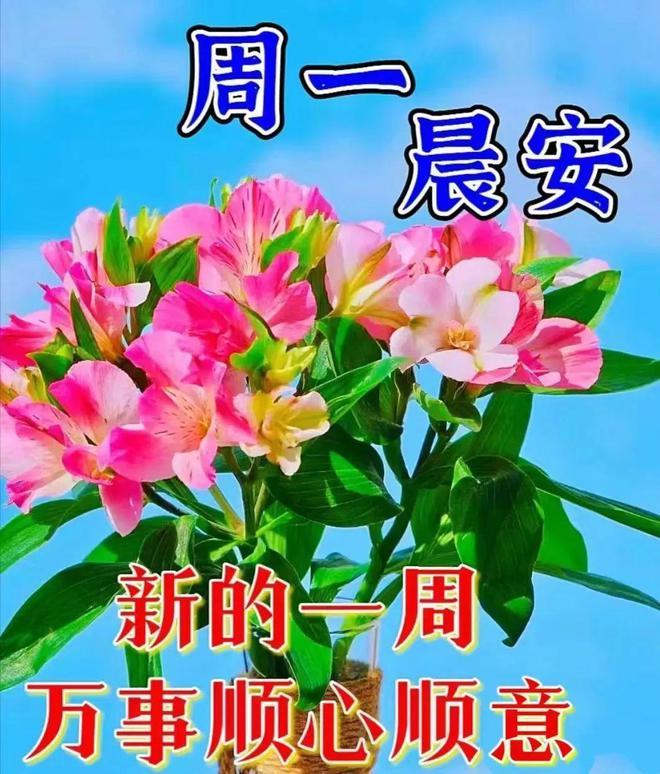 月亮_月经周期多少天为正常范围_5月14
