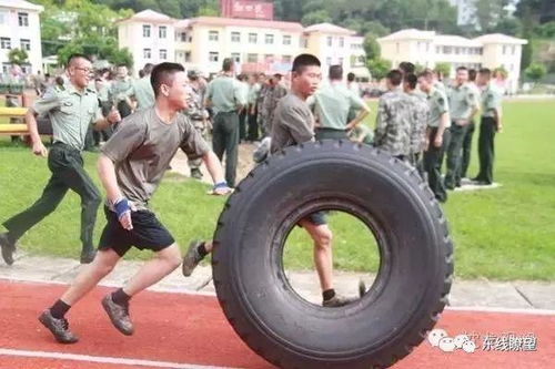 火柴人滚轮粉碎 