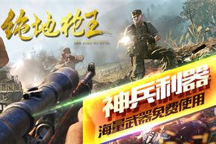 战地枪战王者 