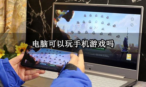 我可能玩了假游戏3 
