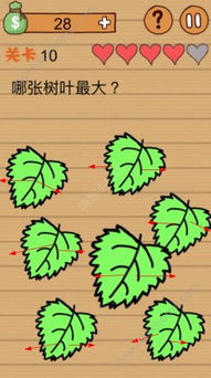 小叶子架子鼓官网版 